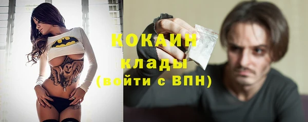 индика Белоозёрский