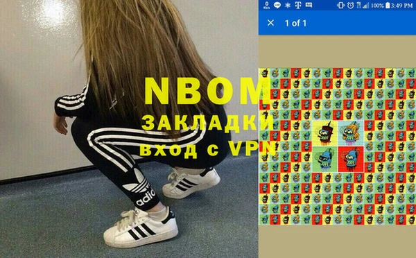 индика Белоозёрский