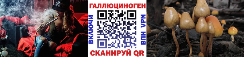 Псилоцибиновые грибы мицелий  Купить где  Богородск 